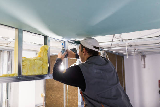 Types of Insulation We Offer in Nora Springs, IA