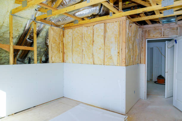 Best Geographic-Specific Insulation Services in Nora Springs, IA