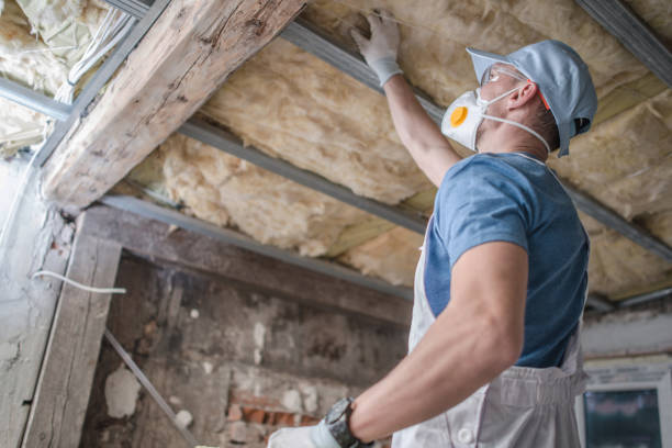 Best Spray Foam Insulation in Nora Springs, IA