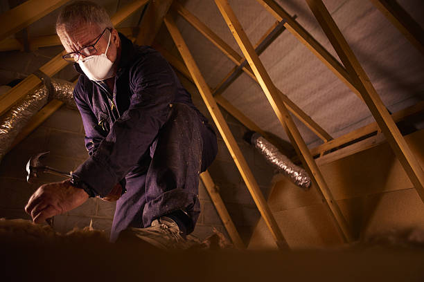 Best Cellulose Insulation in Nora Springs, IA